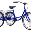 Велосипед трехколесный Aist Cargo 1.0 для взрослых, 1-скорость, синий